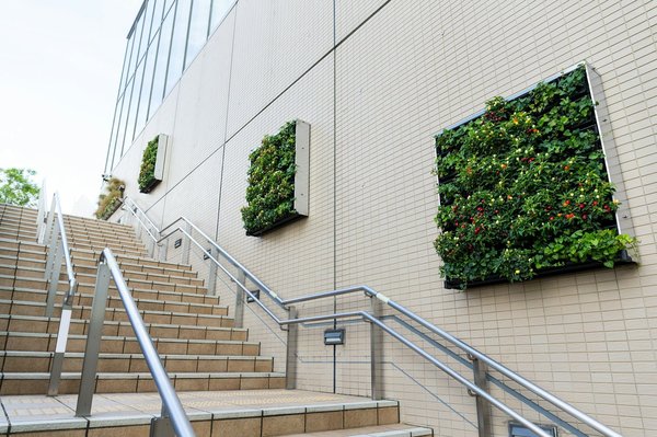 Optez pour la fausse plante liane, une cascade de feuille luxuriante pour vos murs