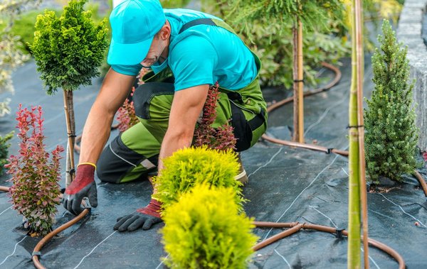 Aménagement extérieur à Ancenis : comment créer un jardin adapté à vos besoins ?